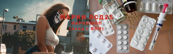 spice Алзамай