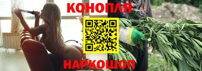 стафф Кандалакша