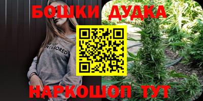 прущие крисы Камышлов