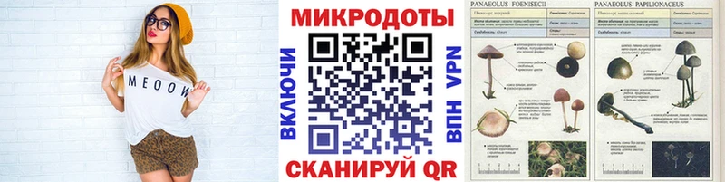 Галлюциногенные грибы Cubensis  Кириши 
